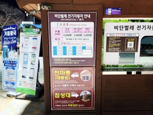 비단벌레-비용