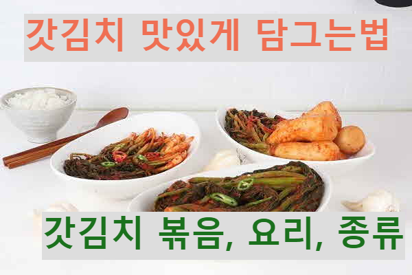 갓김치-맛있게-담그는법-종류-요리-볶음