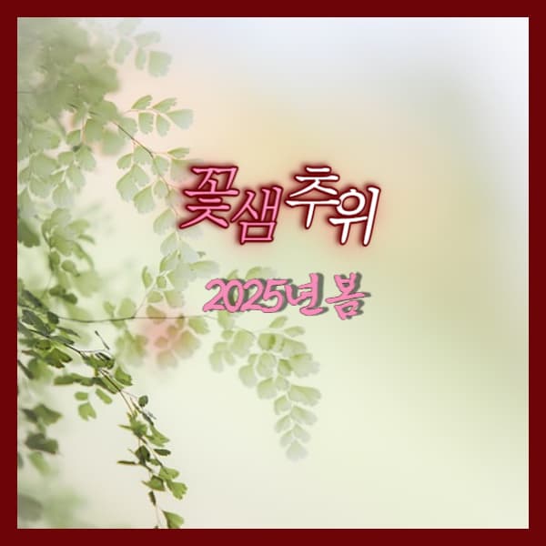 꽃샘추위-기간-2025