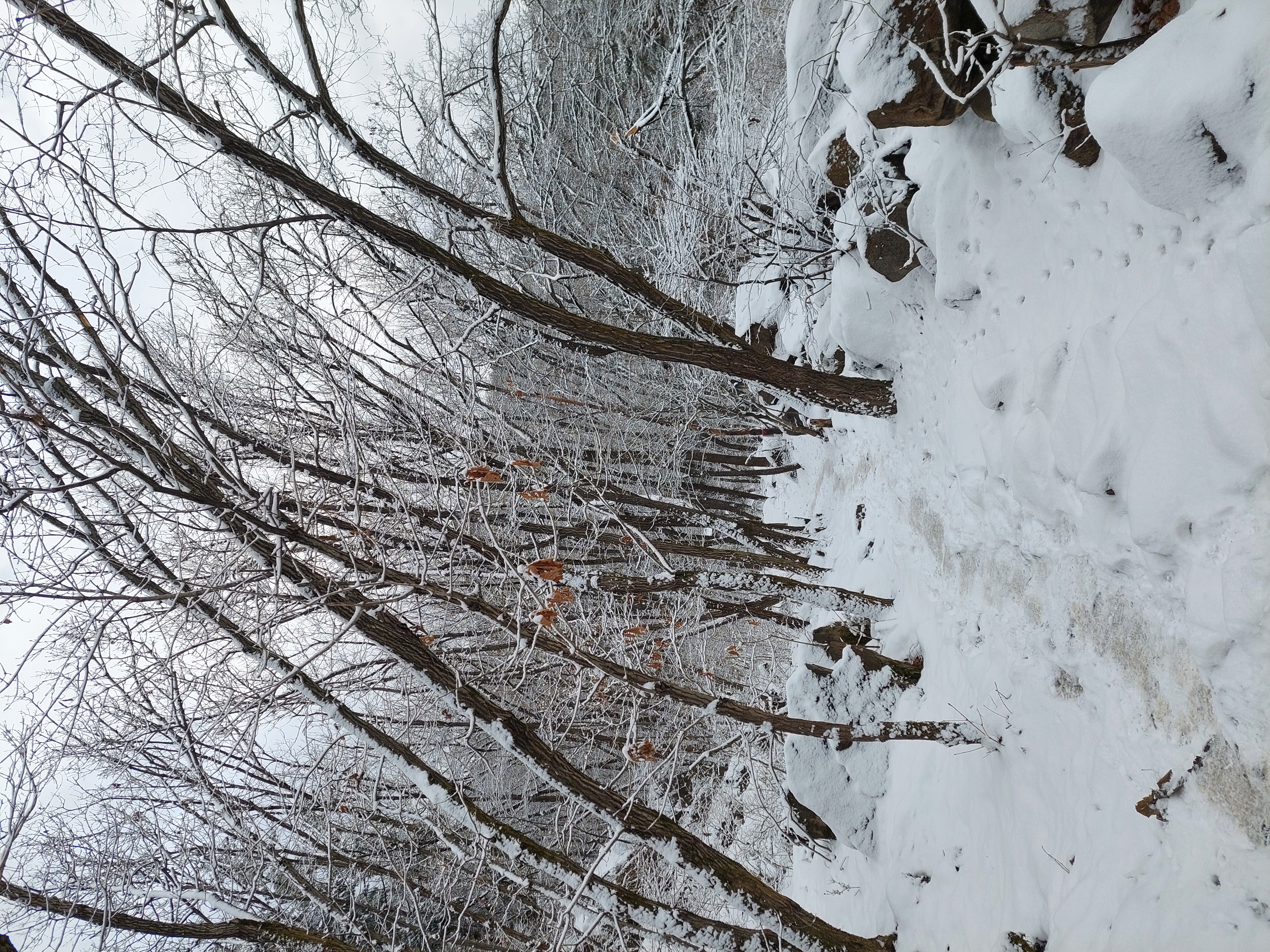 관악산
