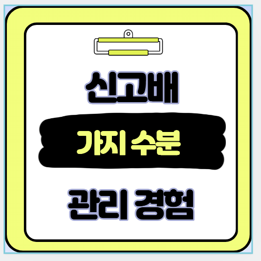 가지 관리와 관수 노하우