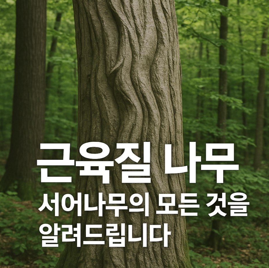 근육질 나무, 서어나무의 모든 것을 알려드립니다