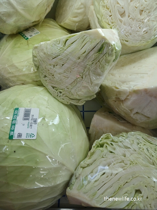 Cabbage used in belly fat diet/똥배 없애는 식단에 활용된 양배추