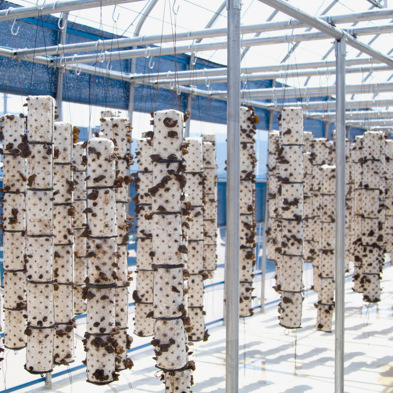 오늘N 이맛에 산다 전북 김제 긍정농부차씨 농산물 주문방법 오늘N 2501회