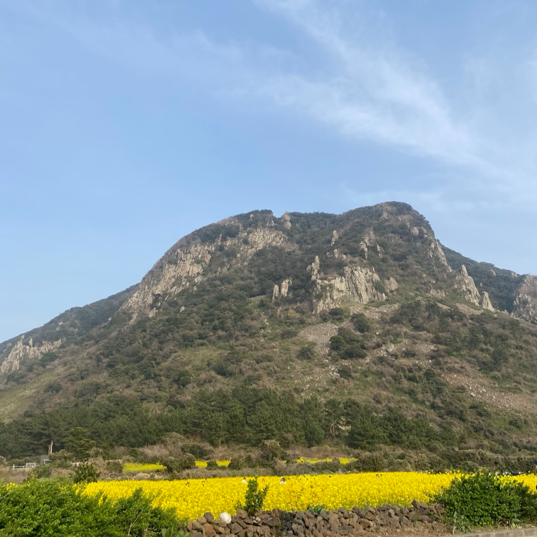 제주도 서쪽 여행지 추천