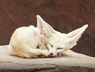 국립생태원 예약 방법