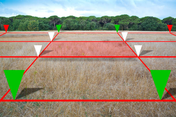 조정대상지역 지정 해제 후 다주택자에게 생긴 변화