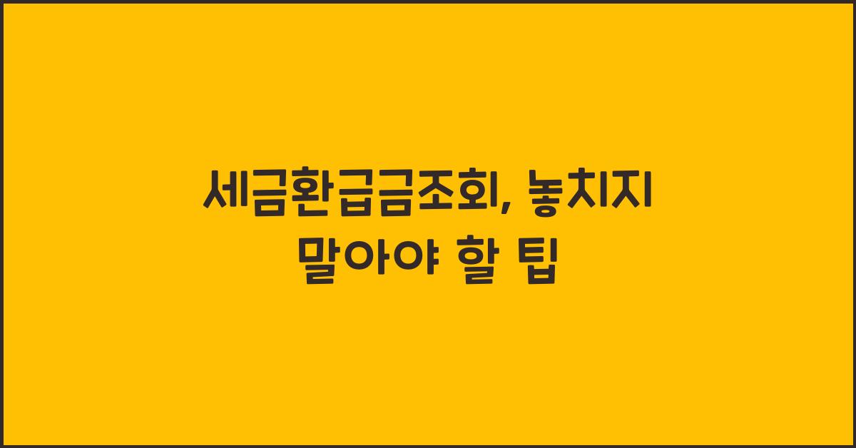 세금환급금조회