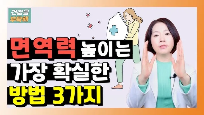 면역력 높이는 하루 루틴과 시간대별 건강 습관_4