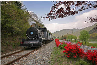 곡성 기차마을 증기기관차