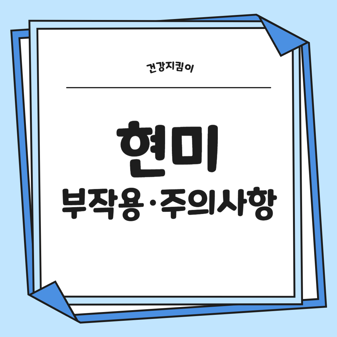 현미 효능과 부작용 영양성분 칼로리 다이어트