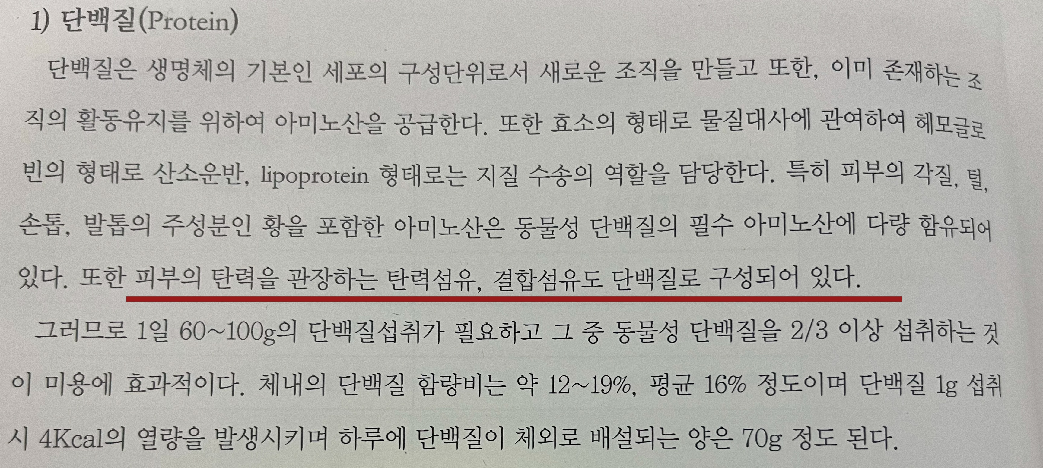 피부과학 책에서 본 단백질에 대한 유용한 내용
피부 탄력에 단백질이 좋다는 내용