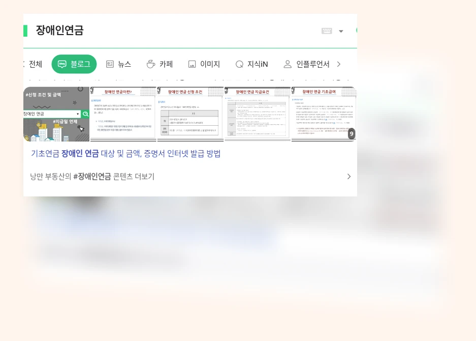 장애인연금_1_subsection