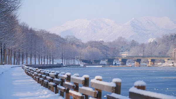 전라도 겨울 트레킹 명소 BEST 5, 남도에서 만나는 고요한 숲길 여행
