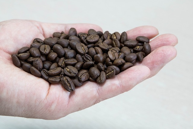 바리스타 2급 기출문제 실기 동영상