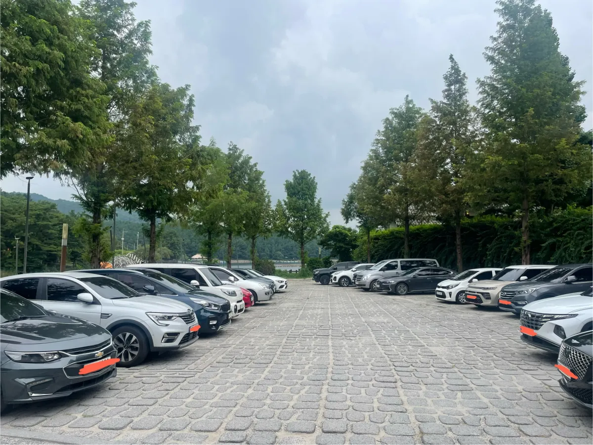 포천-국립수목원-근처-데크길에서-산책하기-좋은-고모리호수공원,-고모저수지