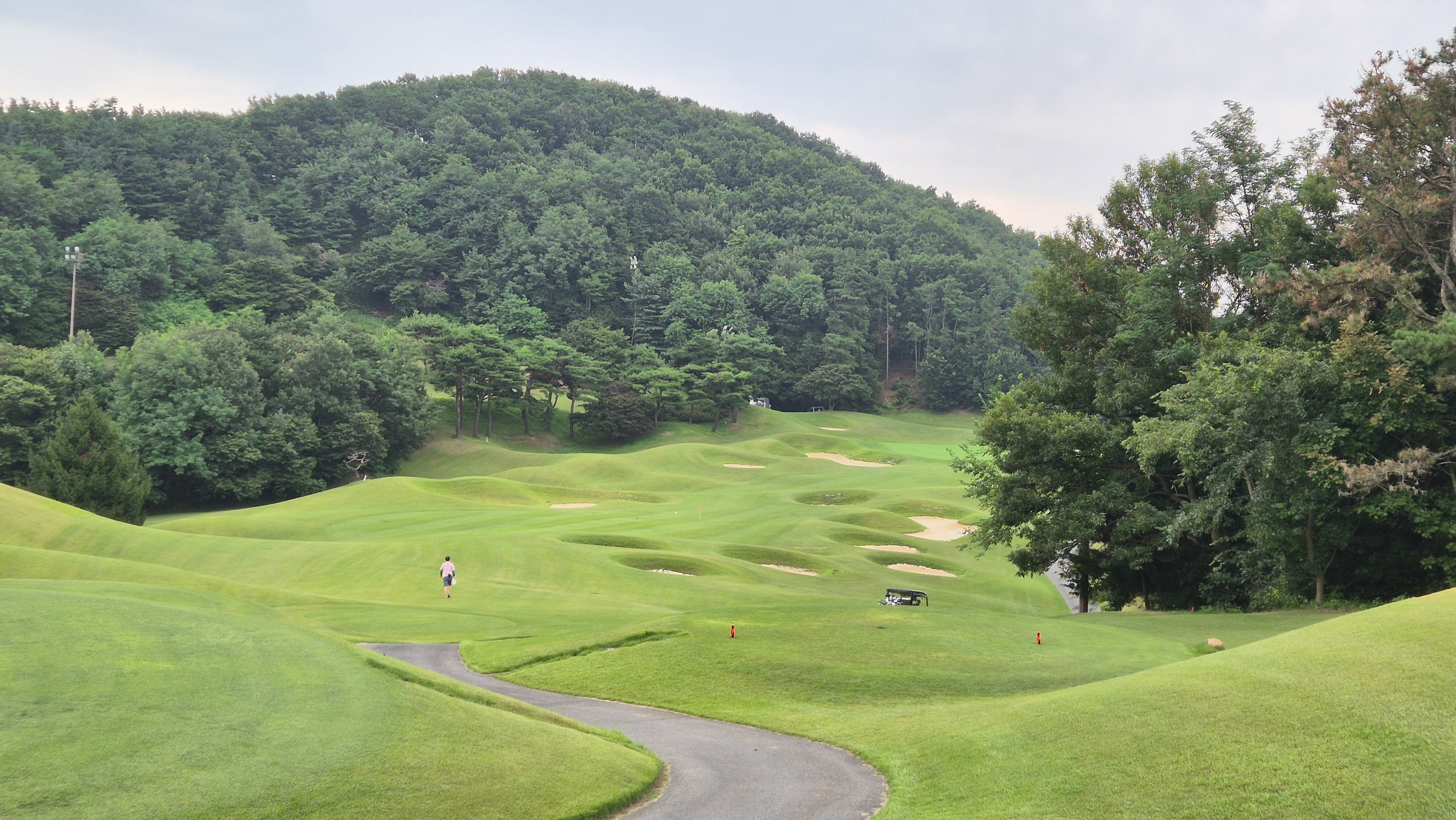 한림용인cc 다이아몬드-사파이어 코스 사진 및 공략 정보