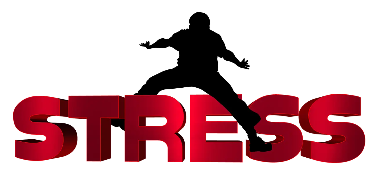 사회적 스트레스와 문화적 적응의 중요성