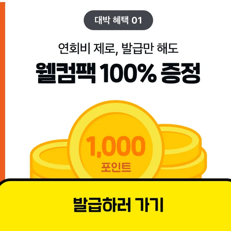 카드-발급-웰컴팩-100%