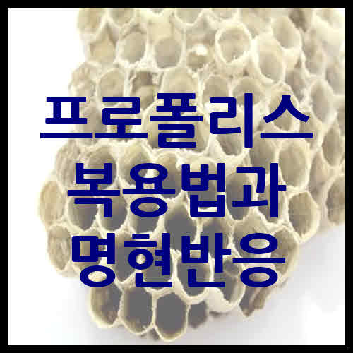 프로폴리스 복용법과 명현반응