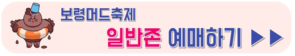 보령머드축제 기본정보