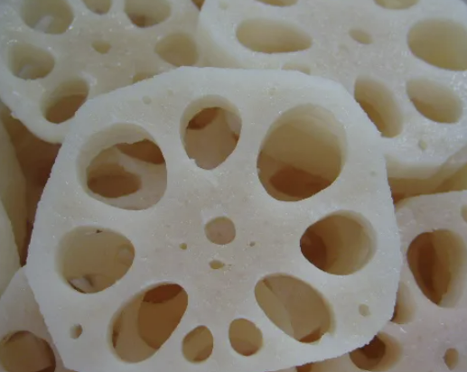 연근 효능 요리종류 보관방법 연근 조림 만드는 방법 총정리