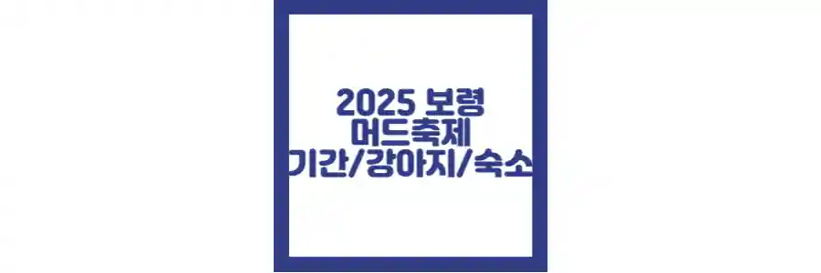 2025 보령머드축제 포스팅 섬네일