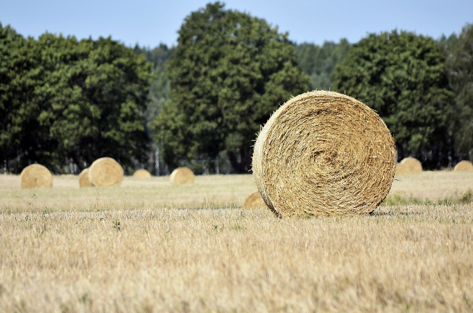 지자체 지원금이 정부 지원금보다 더 까다로운 이유