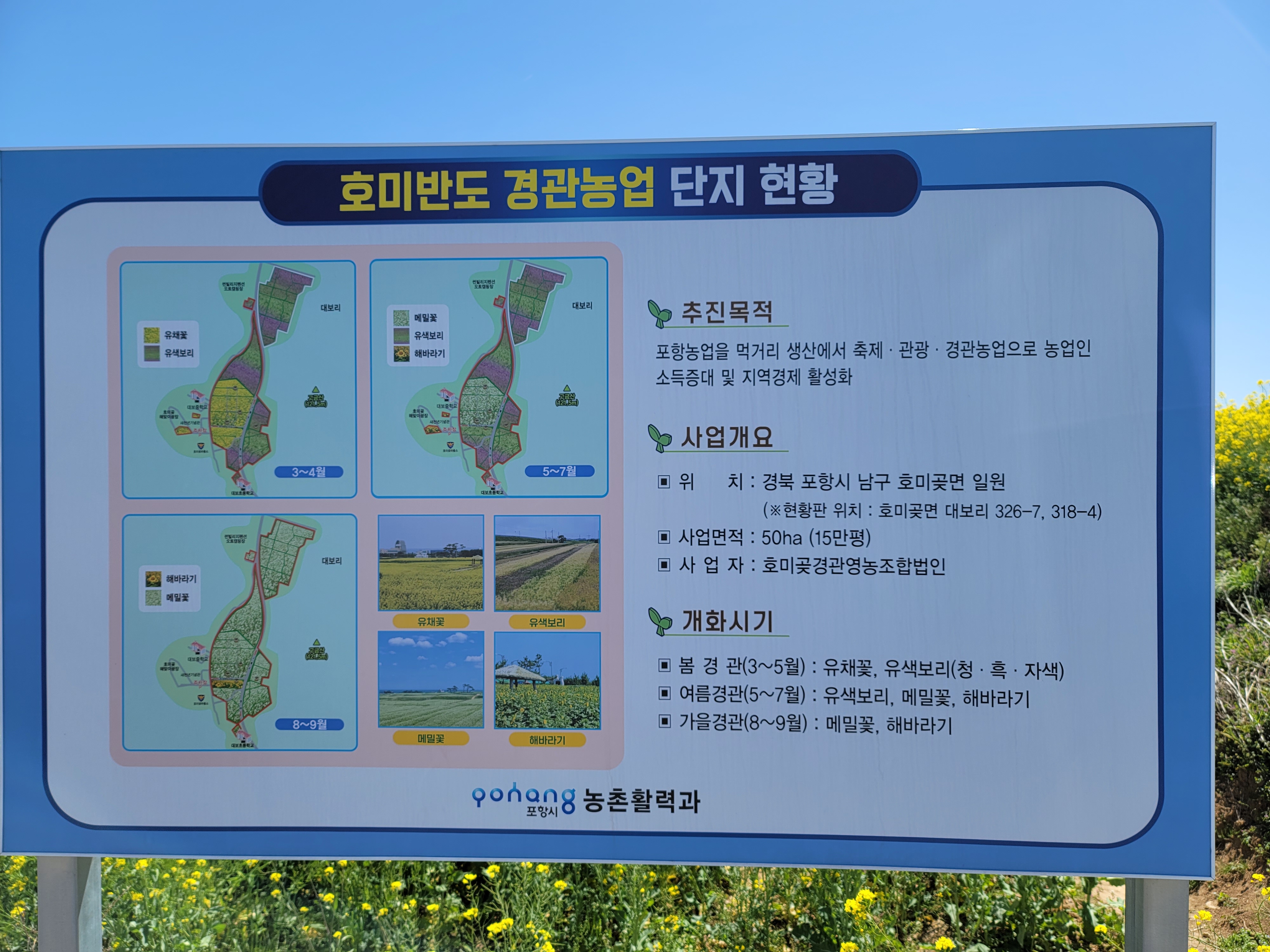 포항 호미곶 호미반도 경관농업 단지