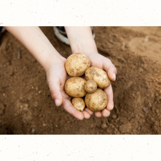 저장고 온도&middot;습도 관리 표