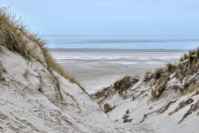 토사구팽 뜻과 5가지 상황별 해석 정리_8