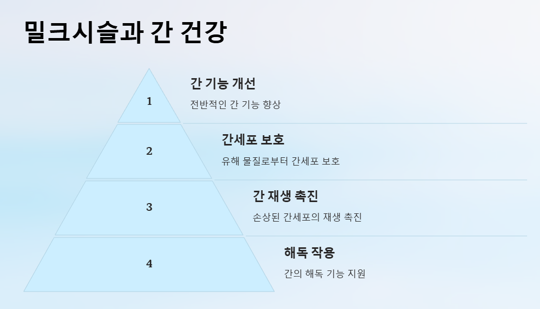 밀크시슬 효과, 간 건강