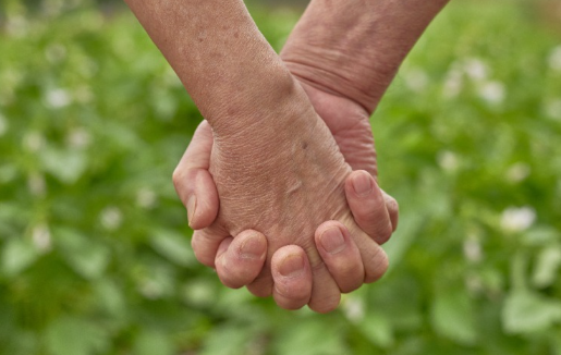 기초연금과 노령연금 차이