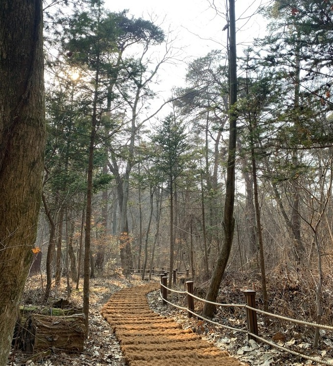 광릉숲 정원벨트 전면 개방