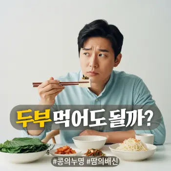 * 이미지 프롬프트: #모던 #미니멀 #깨끗한 #자연광 키워드를 반영한 디자인. 밝고 정갈한 식탁 배경. 30~40대 한국인 남성이 젓가락으로 두부 반찬을 집어 들고 입에 넣기 직전에 멈칫하며 고민하는 표정. "이거 먹어도 되나?"라고 스스로에게 묻는 듯한 진지하고 곤란한 눈빛. 식탁에는 건강한 한식 반찬들이 놓여 있음. 인물의 피부 톤을 자연스럽고 화사하게 표현. 따뜻한 감성의 아날로그 필름 사진 스타일 고화질 실사.
* 썸네일 텍스트(제목): 두부 먹어도 될까?
* 해시태그: #콩의누명 #땀의배신