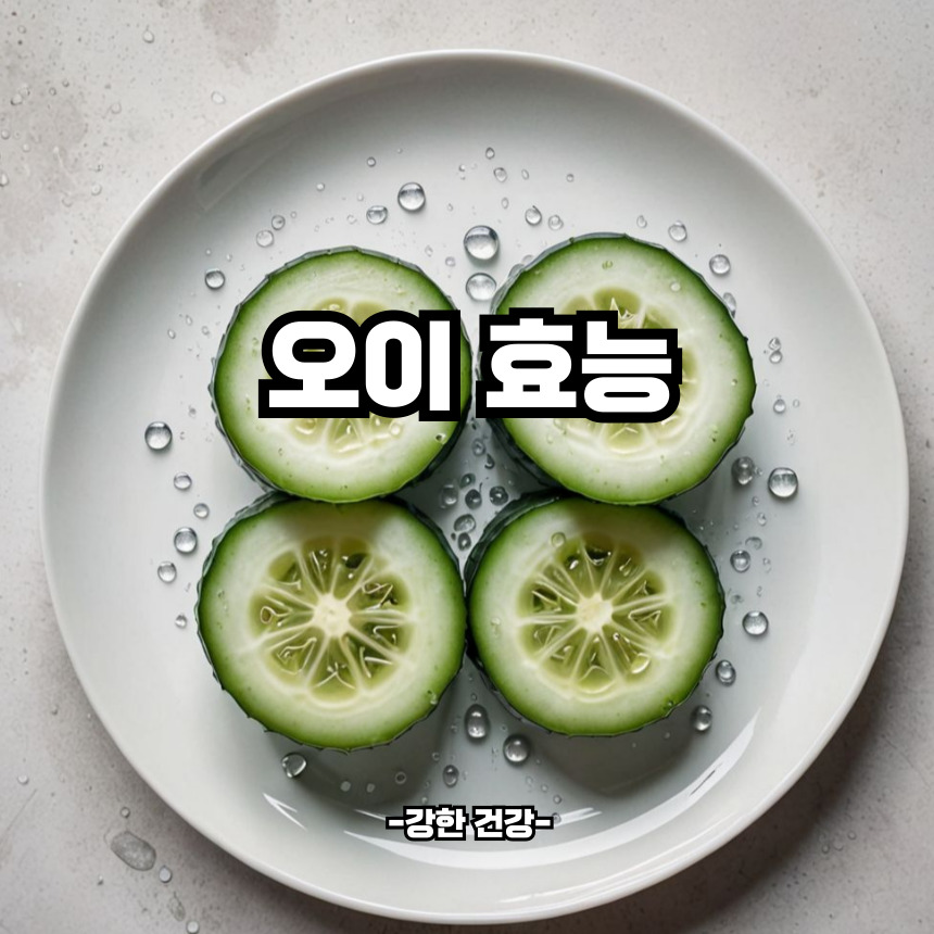 오이 효능