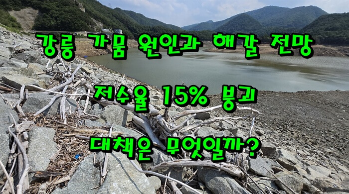 강릉 가뭄 원인과 해갈 전망｜저수율 15% 붕괴, 대책은 무엇일까?