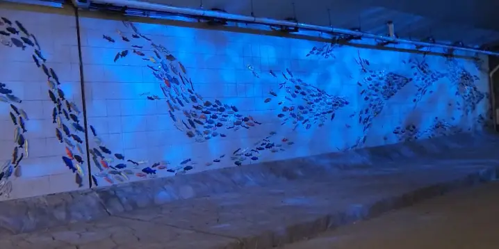 부산 온천천 빛 축제