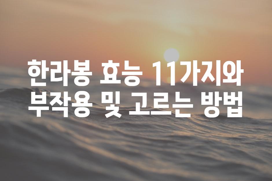 샘플 (88)