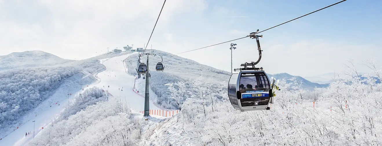 스키장 개장일 하이원 리조트