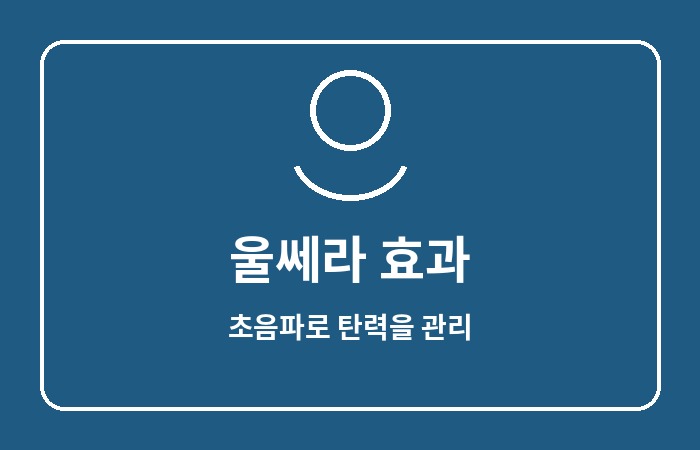 울쎄라 효과