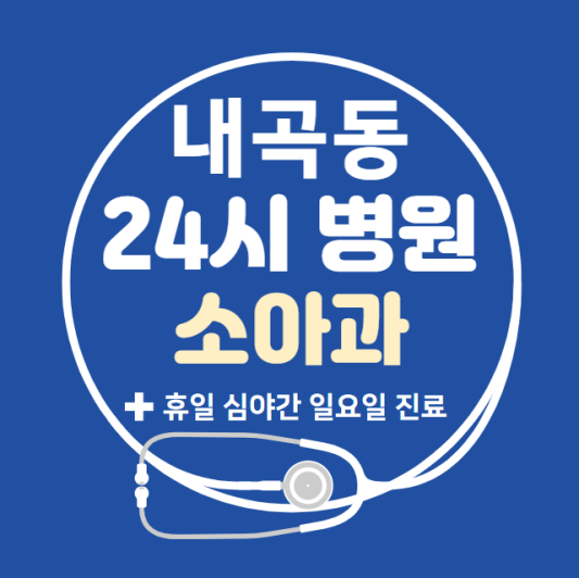 서초구-내곡동-24시간-병원-소아과-토요일-야간-일요일-진료-당직병원-찾기