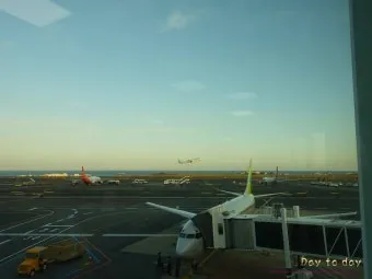 제주도 공항 근처 맛집 추천 여행자 리뷰 좋은 곳 위주_21