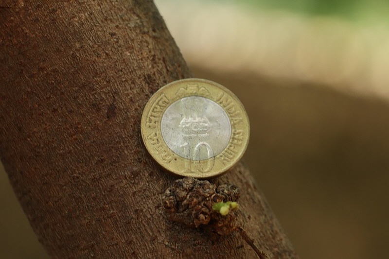 유튜브수익창출