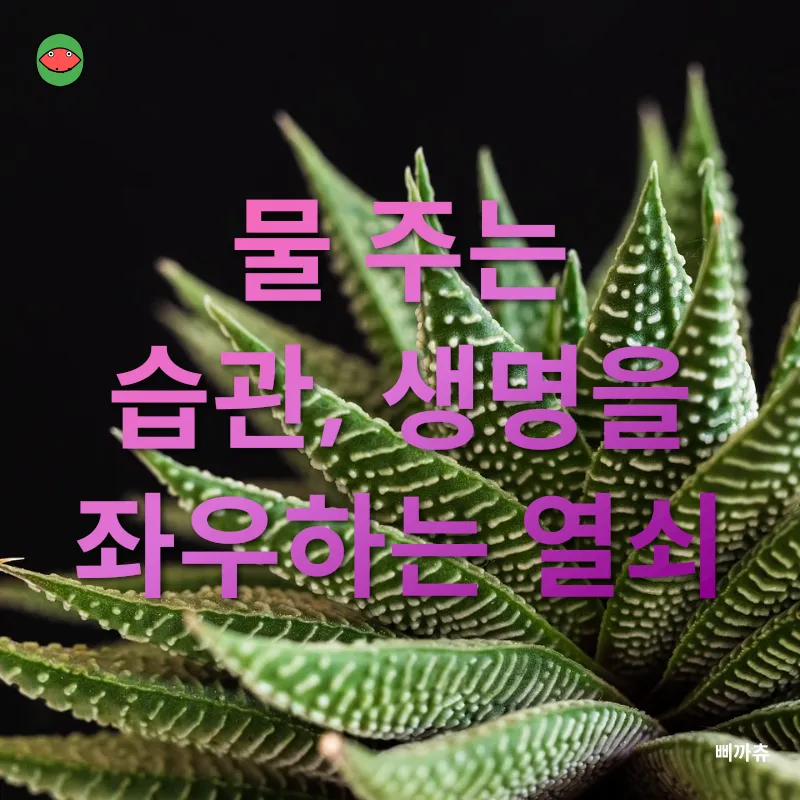 다육식물 겨울 관리_2