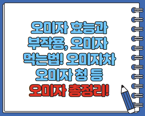 오미자 효능 부작용 먹는법 오미자차 만드는 방법 오미자청 총정리