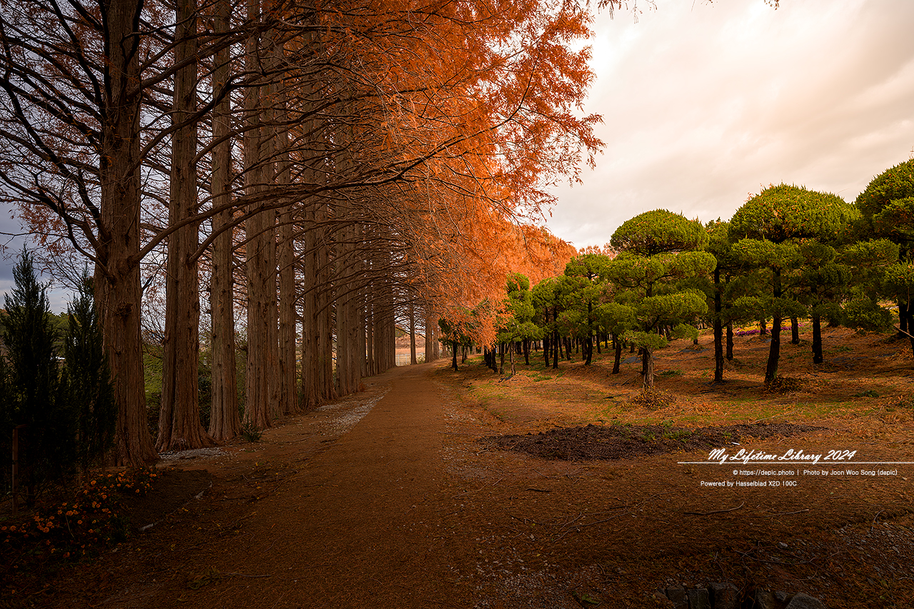 익산 아가페정원