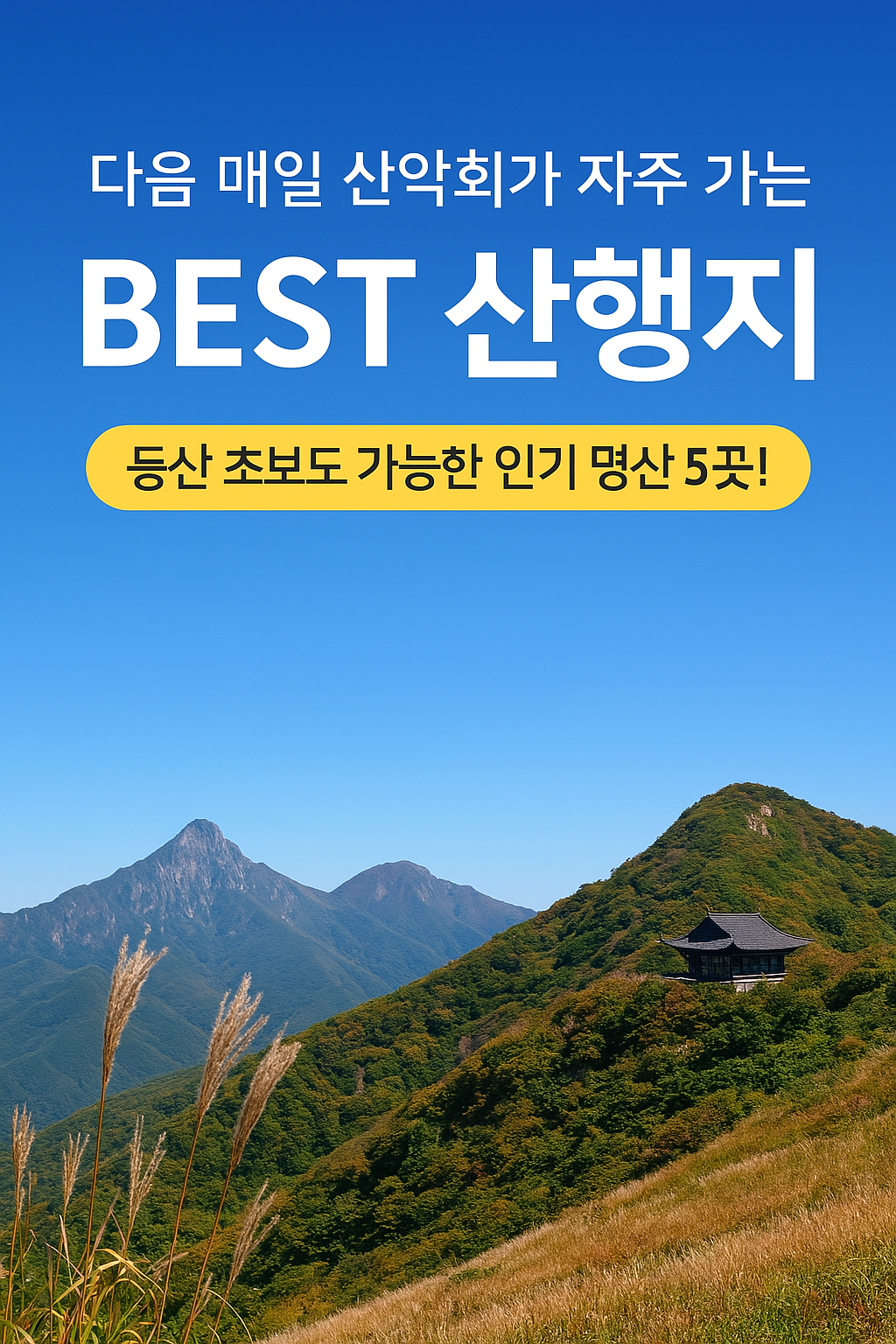 다음 매일 산악회 인기 산행지 추천 총정리