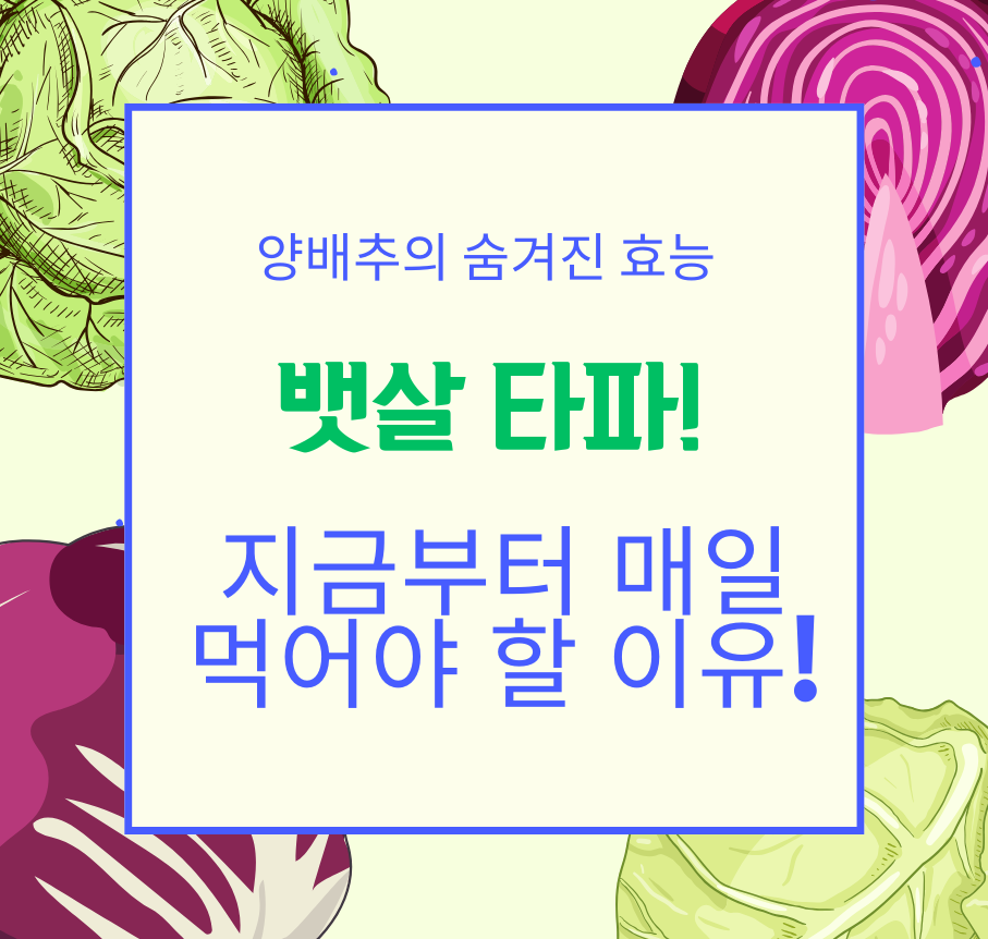 alr="뱃살 타파! 양배추의 숨겨진 효능, 지금부터 매일 먹어야 할 이유!"
