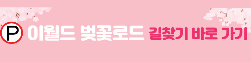 이월드벚꽃로드